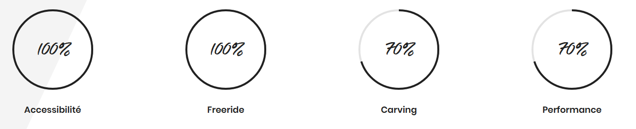 Caractéristiques de la Rocket SW2