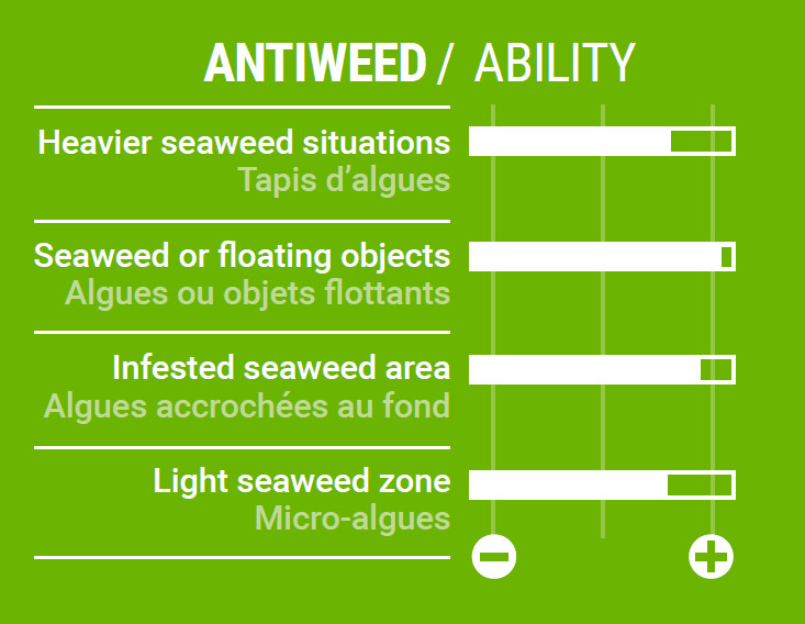 Caractéristiques Focus Weed