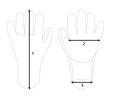 Mesures gants néoprène